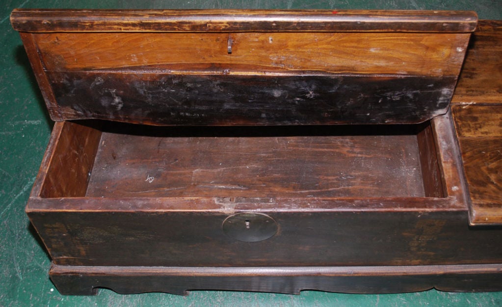 Elm Low Trunk / Chest with Two Compartments