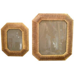 Two Cobra Skin Picture Frames