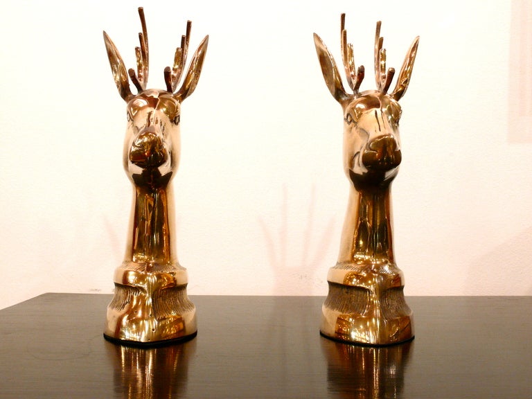 Pair of brass elk bookends, polished to perfection. Weighted with plaster. 

    