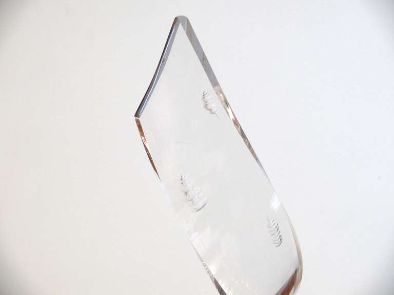 Mid-Century Modern Engraved Shells Lucite Ribbon Sculpture For Sale