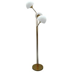 Mid-century Floor Lamp with Murano Glass Shades