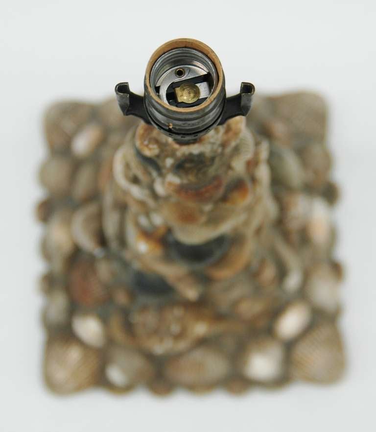 American A Vintage Shell Table Lamp