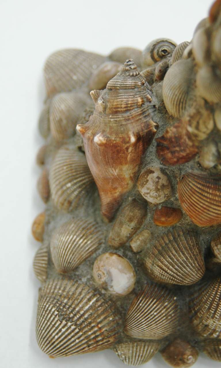 A Vintage Shell Table Lamp 1