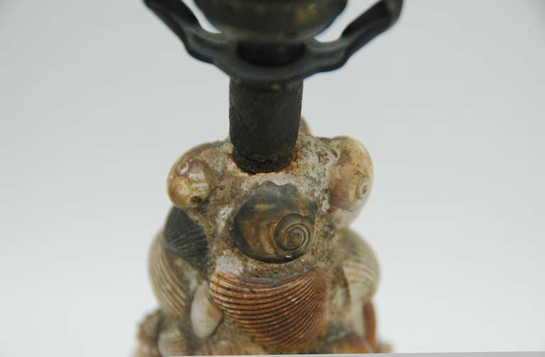 A Vintage Shell Table Lamp 2