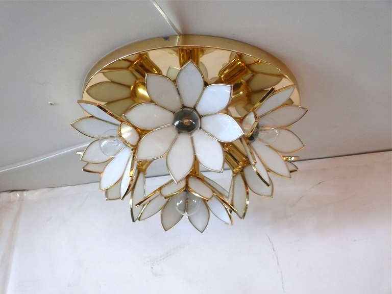 Beautiful polished brass flush mount with seven white lotus flowers. Light radiates through the center of each flower and creates a gorgeous reflection on back plate.