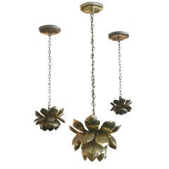 Brass Lotus Lights
