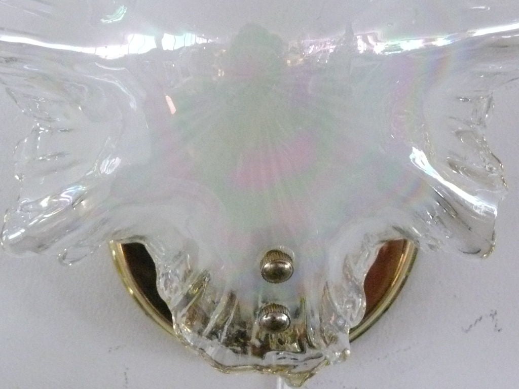 20th Century Murano Seashell Glass Sconce