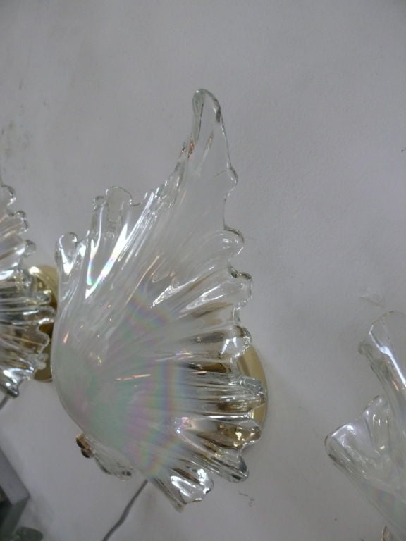Murano Seashell Glass Sconce 1