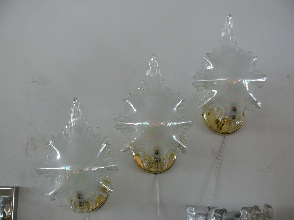 Murano Seashell Glass Sconce 3