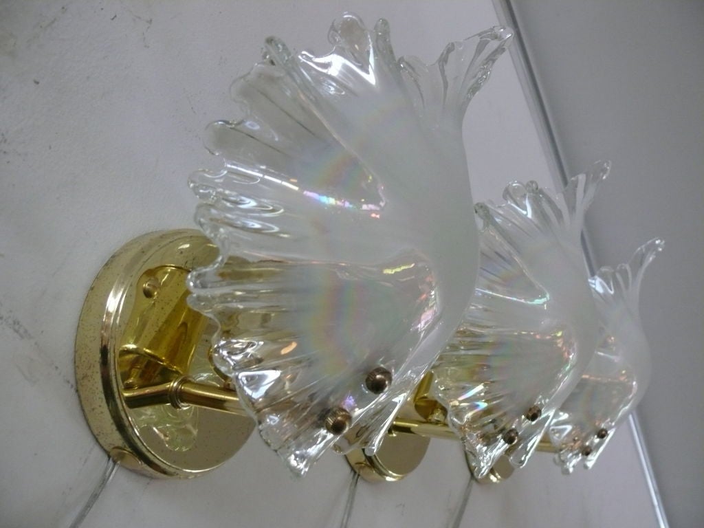 Murano Seashell Glass Sconce 4