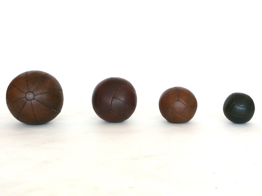 Collection of Leather Medicine Balls 2