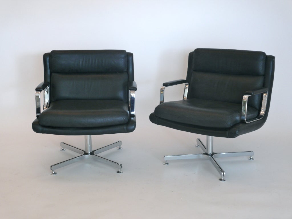 Leather Raphael Chairs