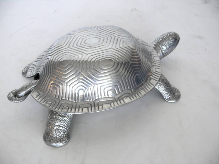 arthur turtle