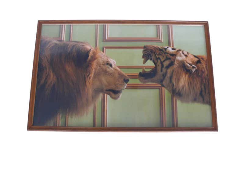 "Lion vis a vis Tiger at Deyrolle" Print by William Curtis Rolf at