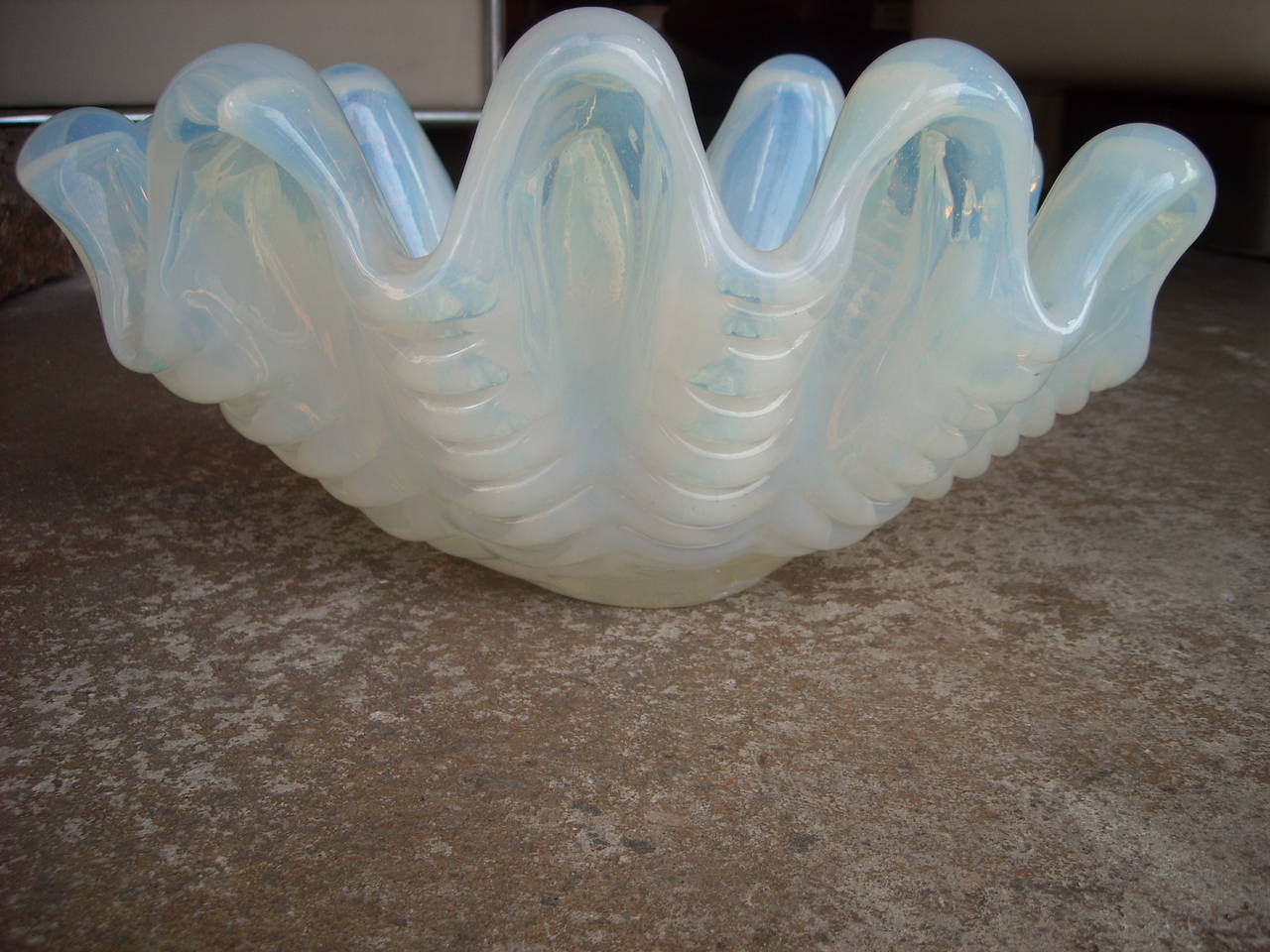 glass clam shell