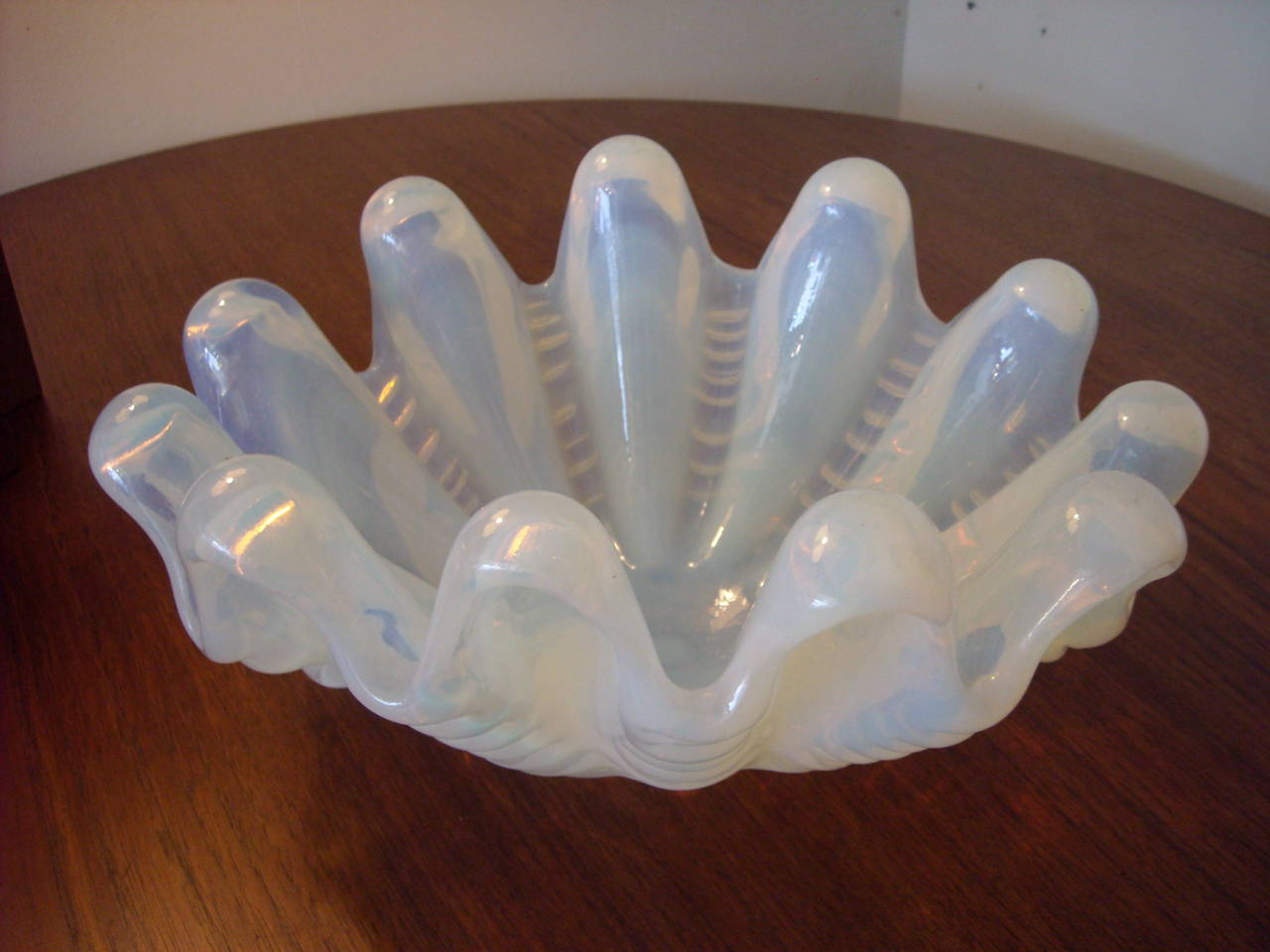 glass clam shell bowl