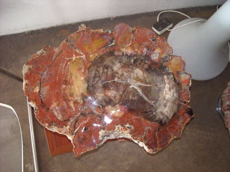 tree stump bar stools