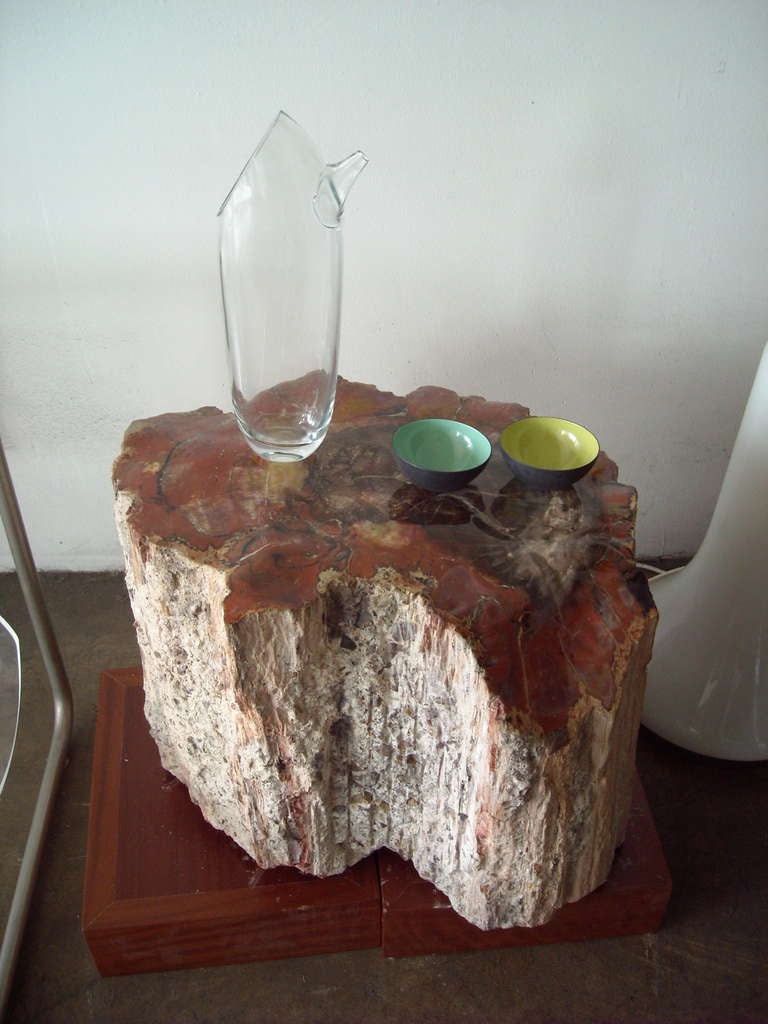 Large Polished Arizonicum Petrified Wood Table/Stool Stump Log 2