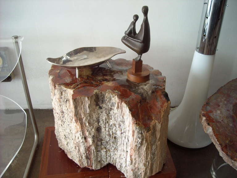 Large Polished Arizonicum Petrified Wood Table/Stool Stump Log 1