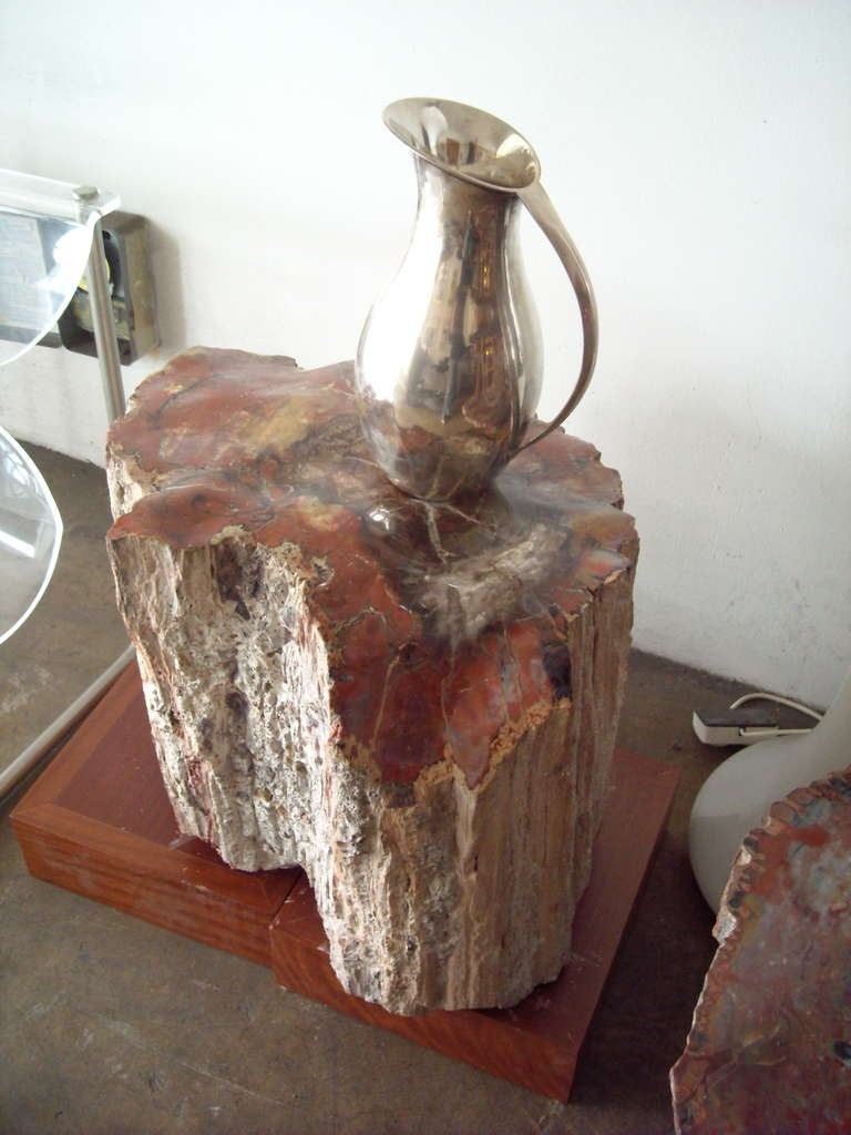 18th Century and Earlier Large Polished Arizonicum Petrified Wood Table/Stool Stump Log