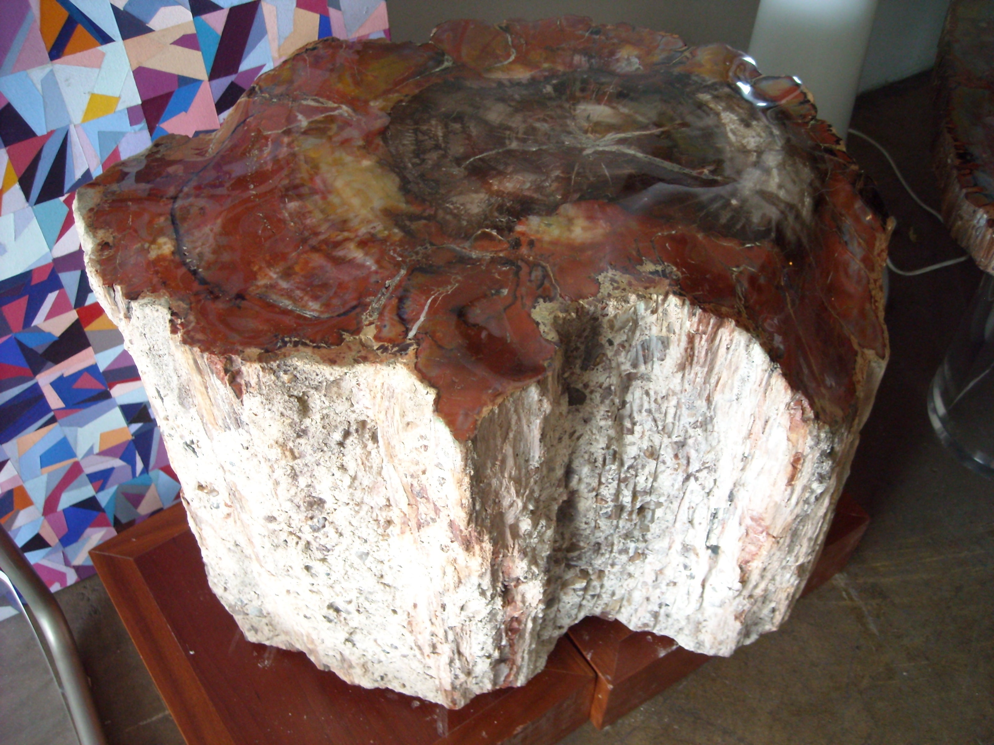 Large Polished Arizonicum Petrified Wood Table/Stool Stump Log