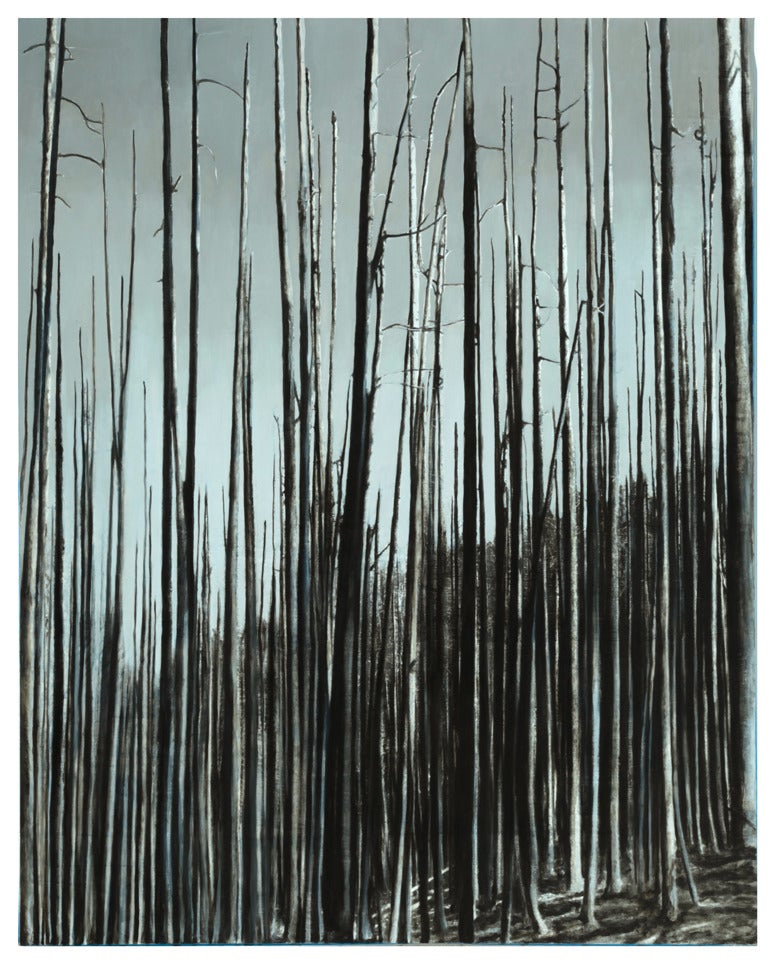 "Deep Forest" Mixed Media on Canvas by Donnie Molls