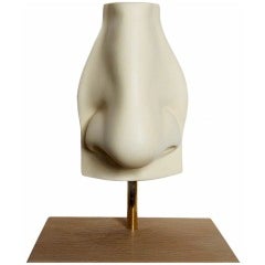 The Nose of David