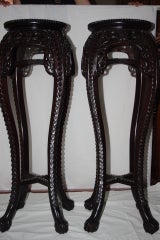 Antique Pair of Chinese Rosewood Fern Stands