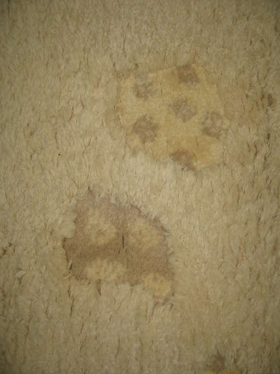 Edward Fields Rug  In Excellent Condition In Southfield, MI