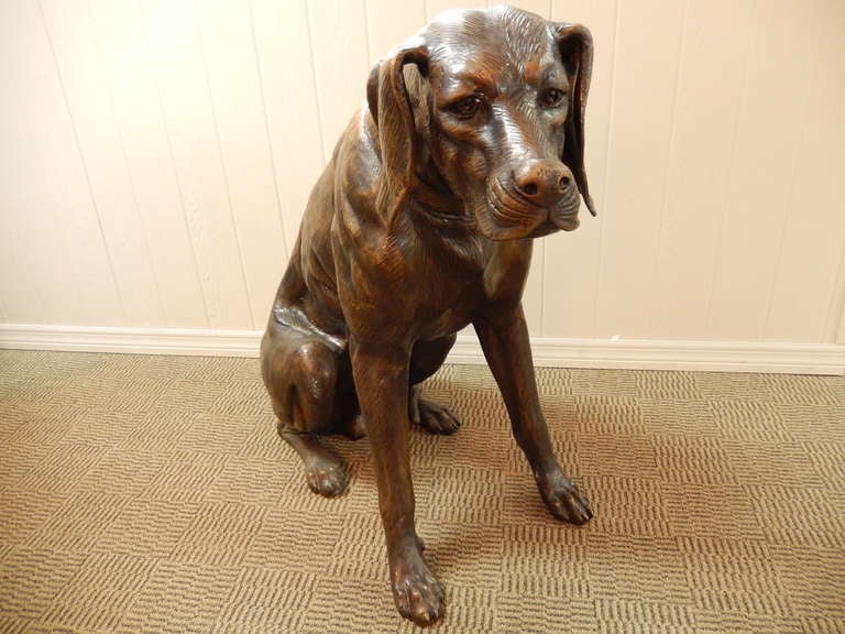 Large seated Great Dane sculpture, dating to the late 1940's.

Beautifully modeled and detailed sculpture, purportedly modeled after a faithful dog once owned by a World War II fighter pilot in the British Air Force.