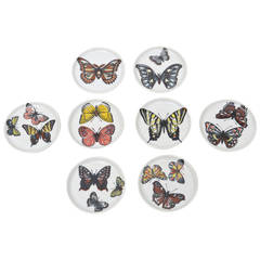 Set of Eight Piero Fornasetti Vintage Butterfly Porcelain Coasters