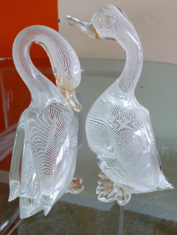 This delightful pair of Murano glass birds, with it's great webbed feet, and the body of clear glass, internally decorated with rows of white diagonal filligree,known as, latticino.This could be the work of Salviati. There are 2 tiny, tiny chips off