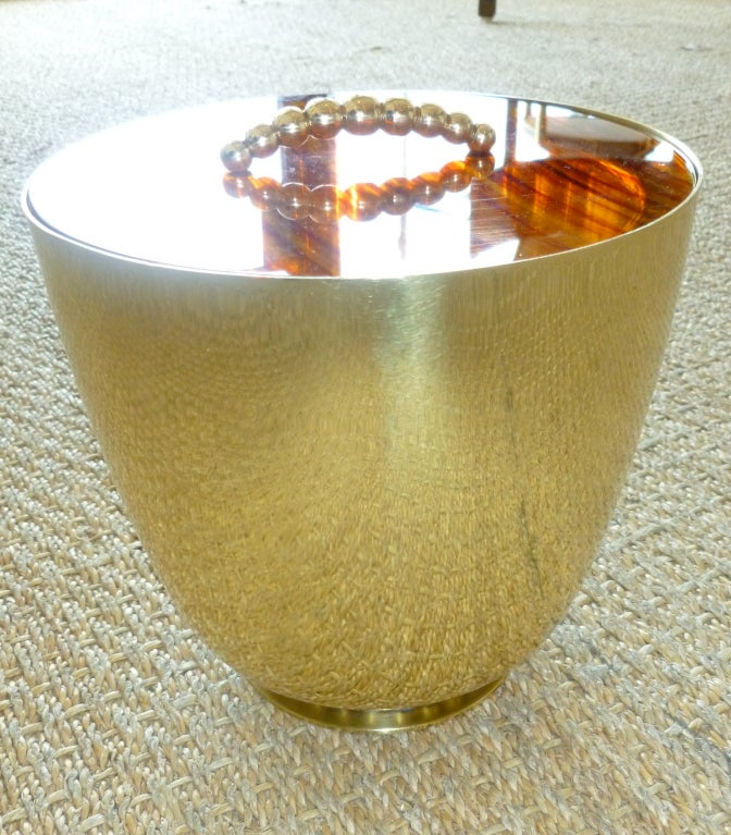 Polished Brass and Tortoise Lucite Ice Bucket
