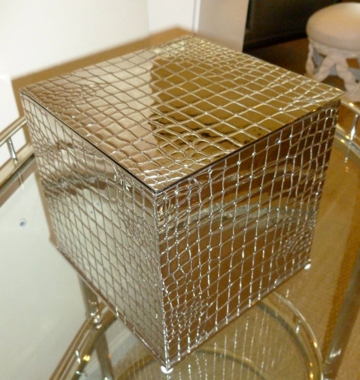 Looks like a chic box...  looks like crocodile silver....but it is a wonderful ice bucket  in nickel silver with a thermal insert, The top lifts up, and voila!!!. can also be used for a wine or champagne cooler... Great for a bar... and your