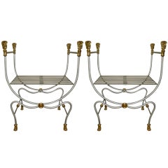 Pair of Steel and Brass Paw Benches