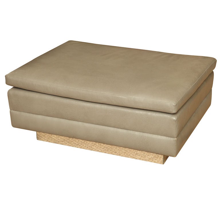 Chic Chrome And Leather Ottoman