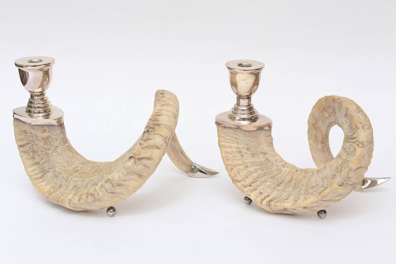 ram horn candle holder