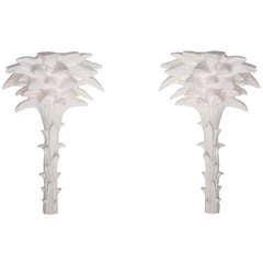 Pair of Plaster Palm Sconces