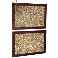 Pair of Oyster Panels