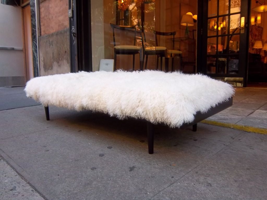 A large simple mid century day bed / bench featuring a frame in Mahogany stained Oak with round tapering legs and a thick removable cushion with all new upholstery done in a long haired curly off white Tibetan Lamb. France circa 1955.