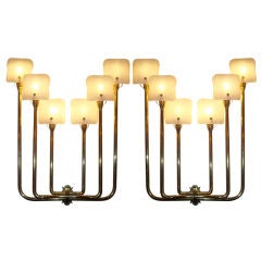 A Pair of Grand Scaled Six Light Wall Sconces in Gilt Brass
