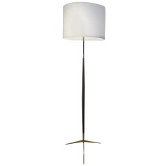 A Mid Century Floor Lamp in Mahogany in the Style of Ico Parisi