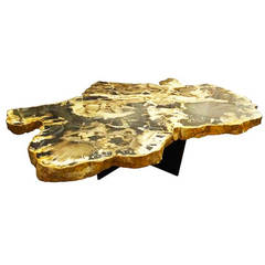 Grand Scale Petrified Wood Cocktail Table in the Style of Ado Chale