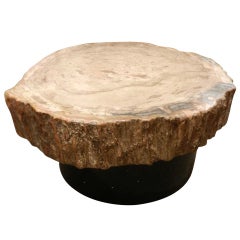 Mid-Century Occasional Table with a Thick Petrified Wood Top and Lit Base