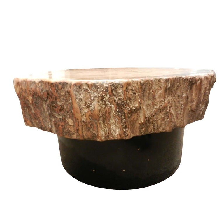 Mid-Century Occasional Table with a Thick Petrified Wood Top and Lit Base
