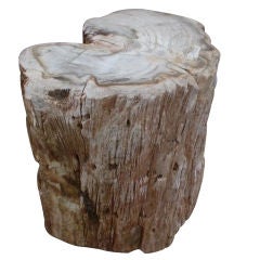 Petrified Wood Side Table with Wedge Shapped Cutout