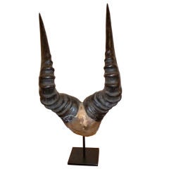 Set of Horns on base