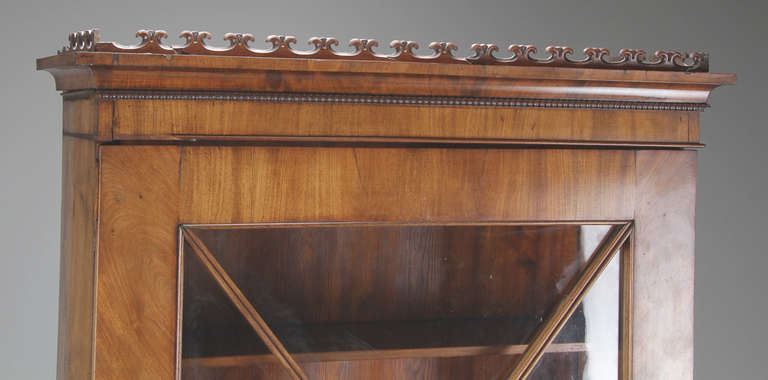 Neoclassical Danish Small 19th Century Figured Walnut Bookcase