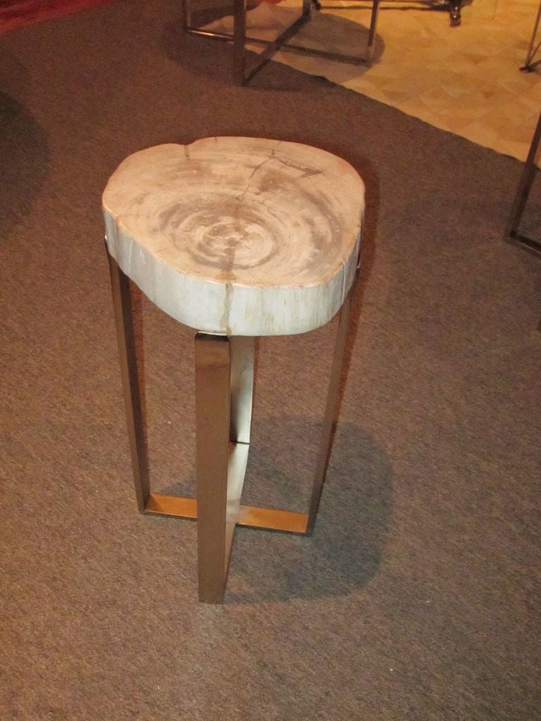 Petrified Wood Small Side Table at 1stdibs