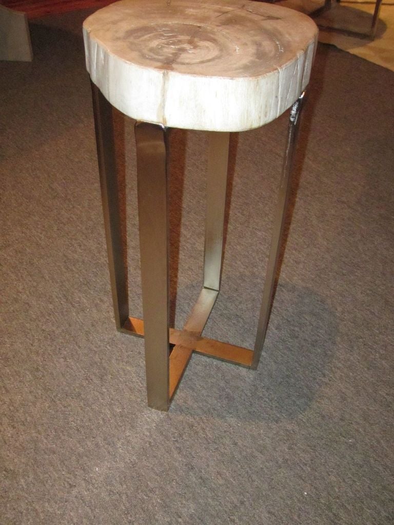 Petrified Wood Small Side Table at 1stdibs